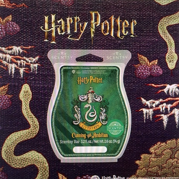 NEW 3 Scentsy Harry Potter Bars wax melts: blackberry ~ cinnamon ~ sandalwood - Picture 4 of 8
